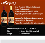 Ne Kadar Ayyaşsın?