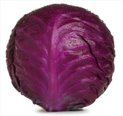 Cabbage Test 2