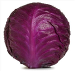 Cabbage Test 2