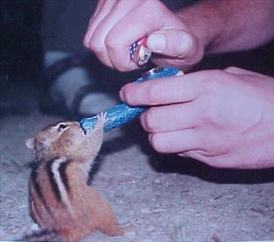 How High Are You Going To Get Today?