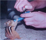 How High Are You Going To Get Today?