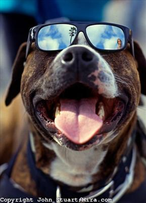 How Cool Can U Be !!!(^^^)