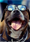 How Cool Can U Be !!!(^^^)