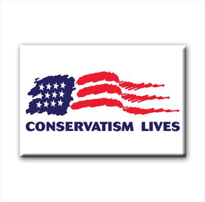 What Political View Do You Have? (Usa)