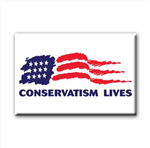 What Political View Do You Have? (Usa)