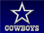 Next Super Bowl Champs?