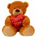 Send A Teddy