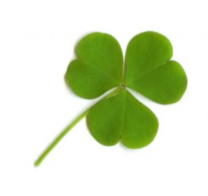 Are You Lucky Or Unlucky ?