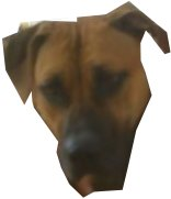 Mascot Poll