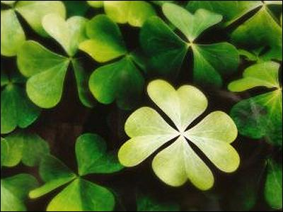 How Lucky Are You Today???