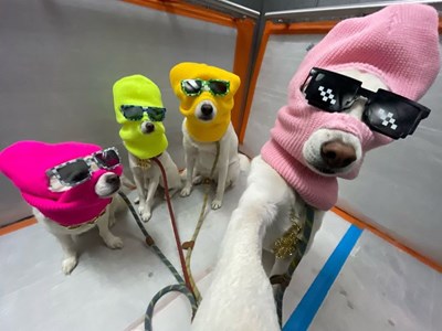 Arkadaşlık testiii