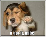 What Is The Chance Of You Getting The Boy/Girlfrie