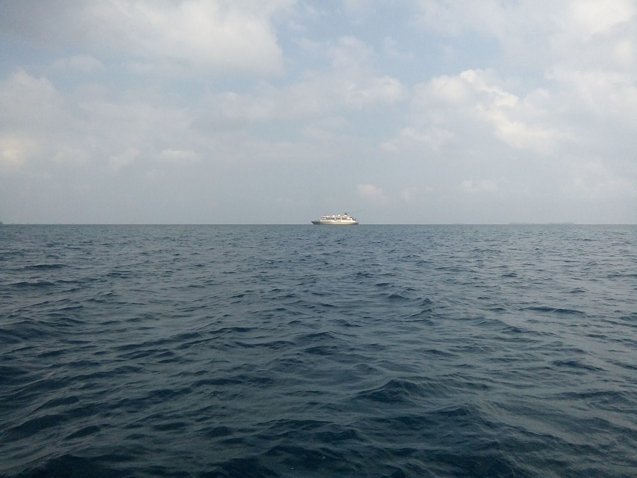 Hewan Laut Apa Kah Kamu?