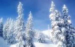 What Season Suits You Best???