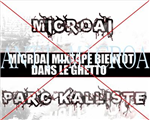 Microai
