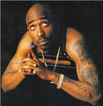 Which Rapper Is Better?