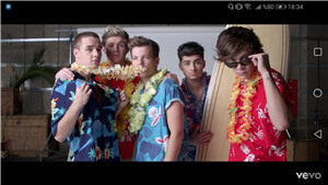 Hangi One Direction Üyesisin