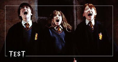 Ne Kadar Harry Potter Fanısın?