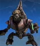 How Well Do You Know Halo Reach
