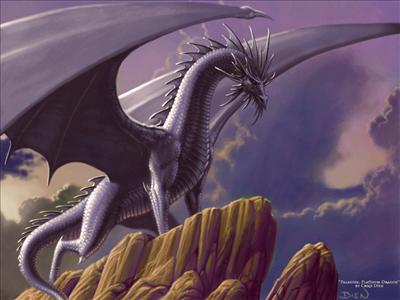 What Dragon Are You?