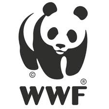 Wwf