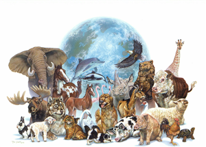 ¿Amas A Los Animales?