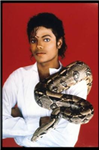 Find Out If Michael Jackson Likes You?