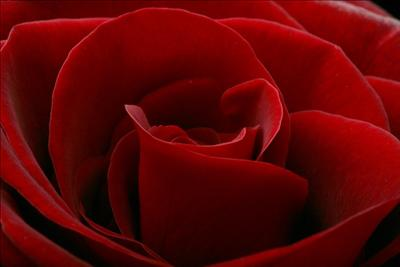 What Is Your Colour?