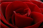 What Is Your Colour?