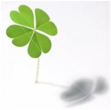 Lucky Day