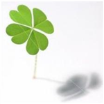 Lucky Day