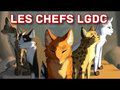 Quel chef du cycle 1 de lgdc es tu ?