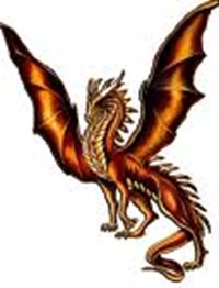 What Dragon Type Are You