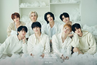 Straykids'den en sevdiğin üye kim?