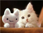 Gift