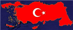 Yeni Yıl