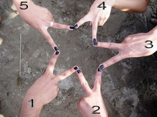 Make Your Choice!!