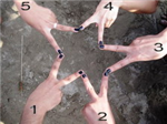 Make Your Choice!!