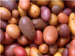 What Colour Potatoes Do You Like?