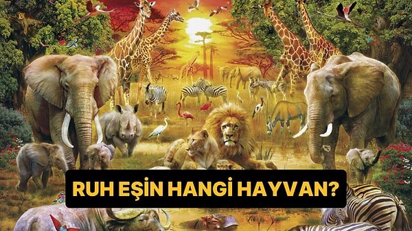 Ruh Eşin Hangi Hayvan?
