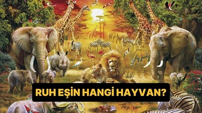 Ruh Eşin Hangi Hayvan?
