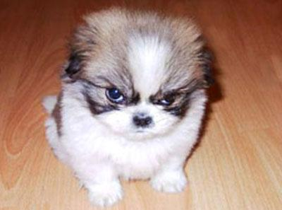 How Mad Or Happy Are You?