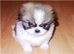 How Mad Or Happy Are You?