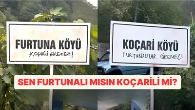 Koçari mi? Furtuna mı?