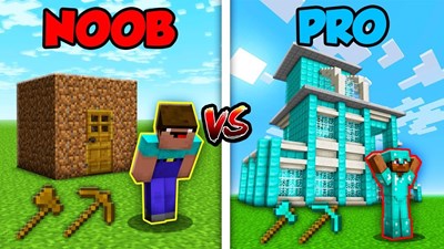 Sei noob o pro