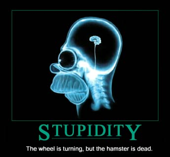 Quanto Stupido Sei?