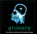 Quanto Stupido Sei?