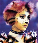 Which Kitten From Cats  R U?