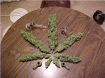 Pass That Blunt