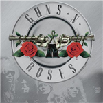 Sei Fan Dei Guns N' Roses?!